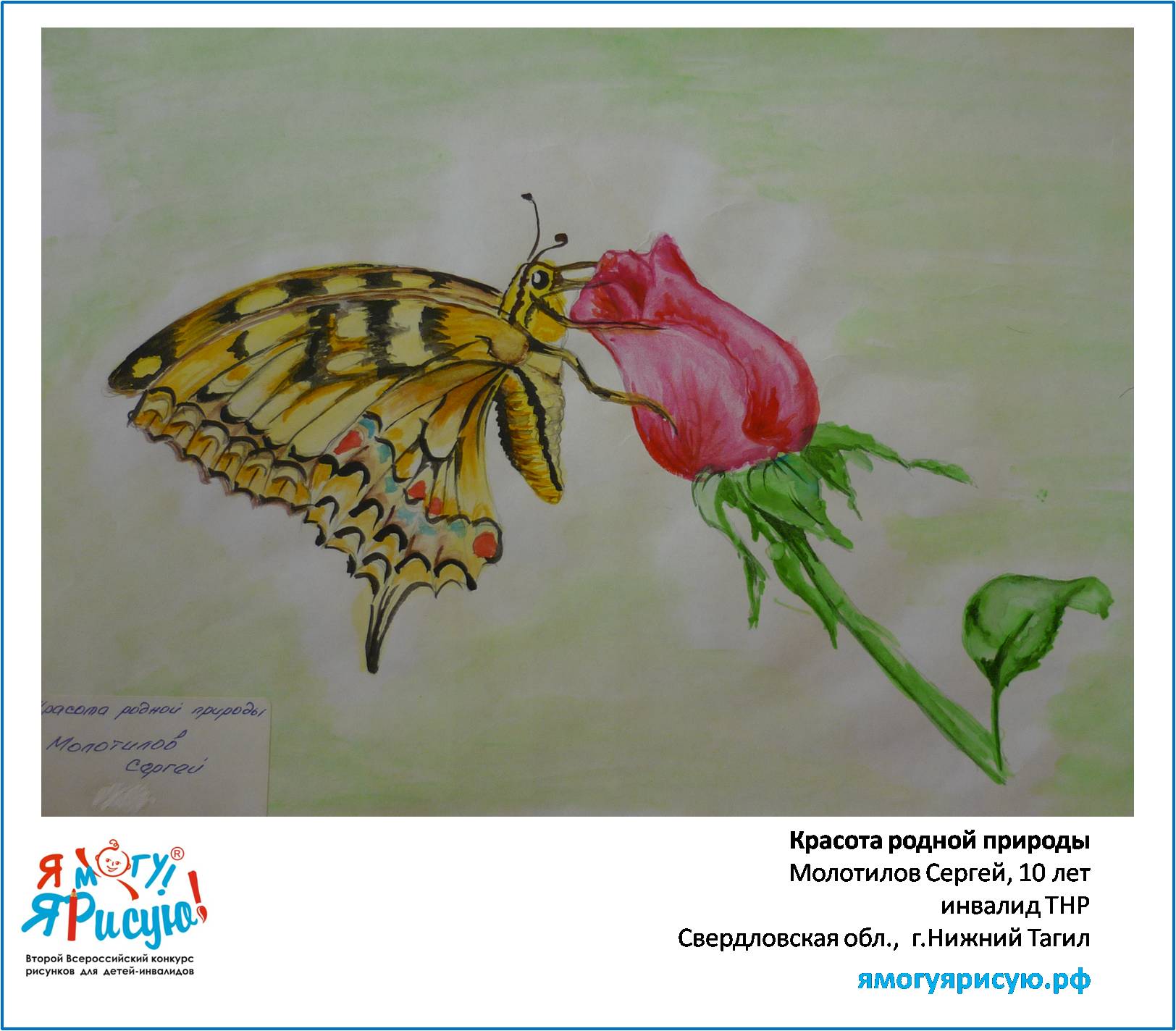 Молотилов Сергей